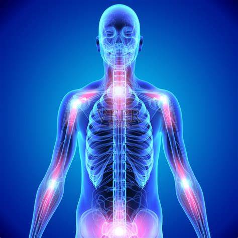 生活中什么食物类风湿性关节炎不能吃? 生活中什么食物类风湿性关节炎不能吃?